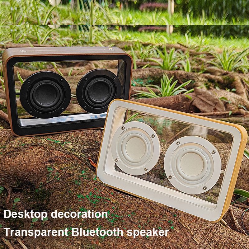 Amazon Music Audio Quality - Yaratıcı Şeffaf Bluetooth Hoparlör, Çift Kornlu