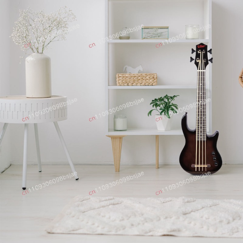 Siyah Bas Elektro Gitar Akçaağ - Bass Guitar Strings incelemesi ve fiyatı